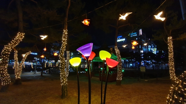 동춘당 공원 경관조명