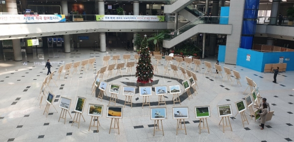 대전정부청사에서 열리고 있는 황새 사진 전시회 모습