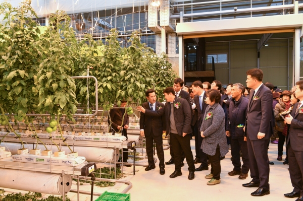 스마트팜 유리온실 준공식 후 내부를 둘러보는 박졍현 군수
