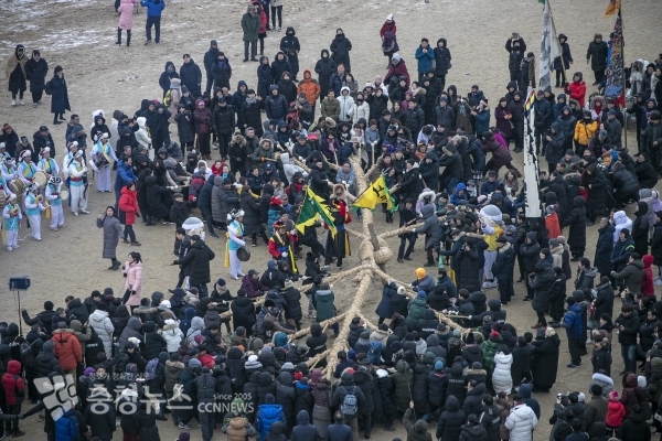 왜목 새해 기지시줄다리기 시연행사