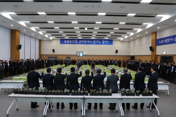 신년인사 직원간 다육이식물 화분 나눔