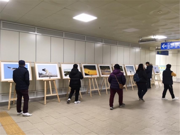 예산역에서 열린 황새 사진전시회 모습
