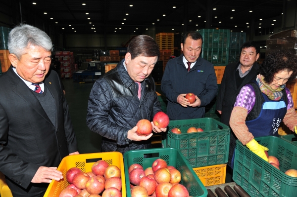 황선봉 군수가 예산황토사과를 살펴보는 모습.