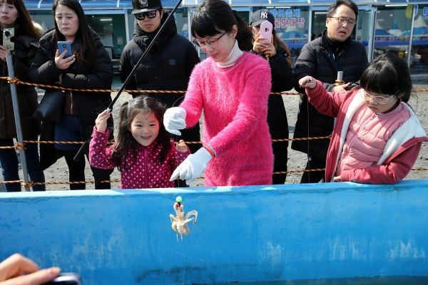 주꾸미 낚시 체험