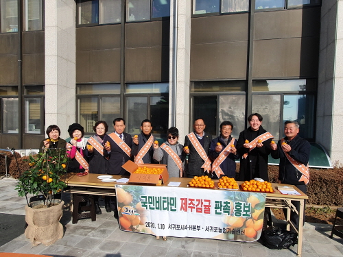 감귤판매 홍보 모습