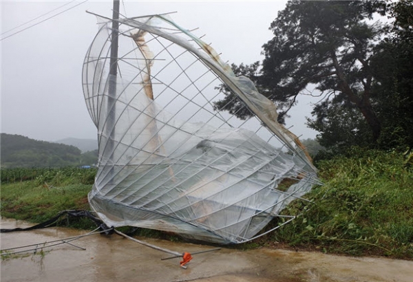 농작물재해보험 가입률 충남 1위