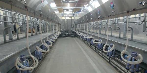 당진시, 2020년 축산분야 지원사업  추진 모습