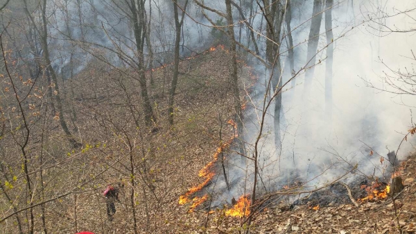 봄철 산불대비(진화 모습)