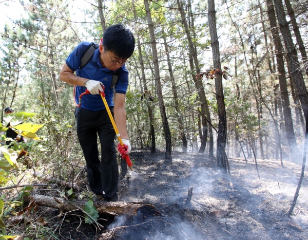 지난해 10월 원북면 이곡리 산불진화 모습.