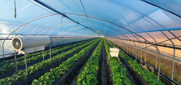 지난해 원예특작 보조사업 모습