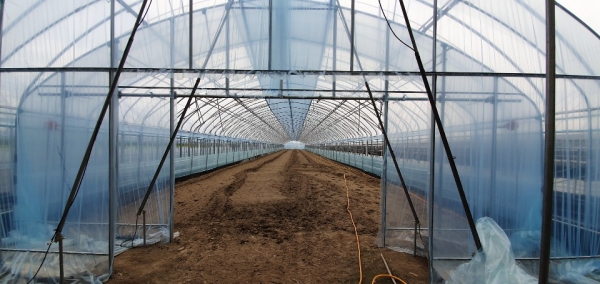 지난해 원예특작 보조사업 모습