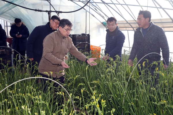 ‘꽃 소비 활성화’에 적극 나서 (18일 화훼농가를 방문해 피해 상황을 청취한 노박래 군수)