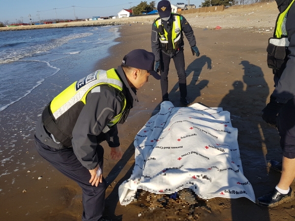 시신 수습중인 장항파출소 경찰관 [보령해양경찰서 제공]
