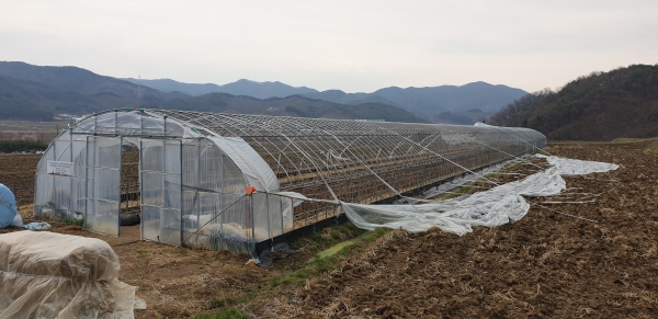 버섯·원예시설 농작물재해보험 가입 홍보.