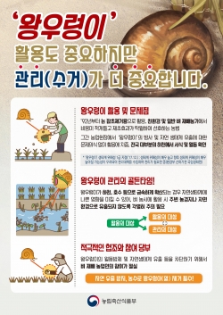 왕우렁이 관리(수거) 전단