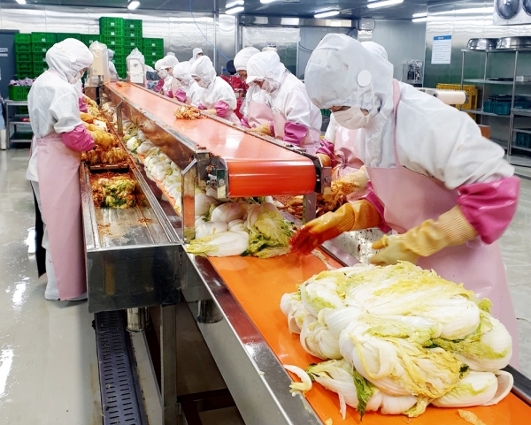 태안 담채원 김치