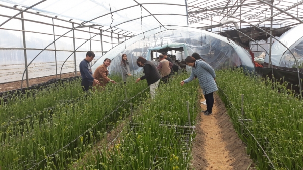 코로나19로 어려움을 겪고 있는 화훼농가