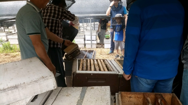 체험양봉장 참여 신청 접수