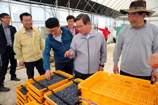 작년 5월, 동서천농협 블루베리 선별장을 방문한 노박래 군수