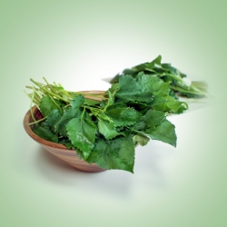 부여군 취나물 홍보 이미지