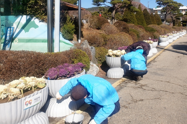 도색 및 재배치 된 화분 사진