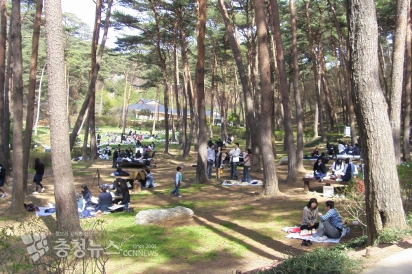 안면도 자연휴양림 전경