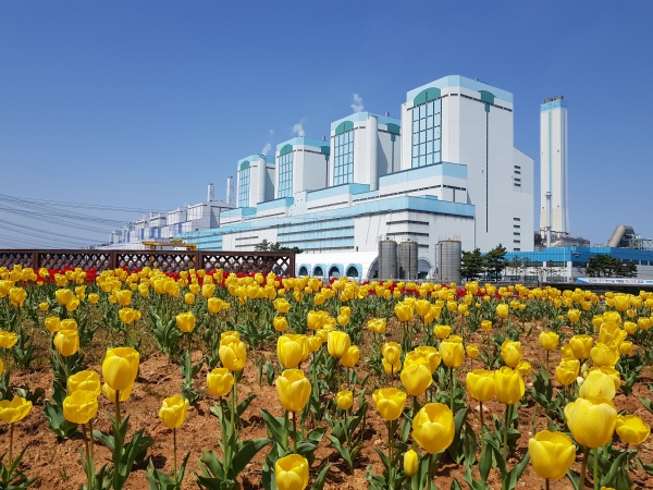 당진화력본부 전경