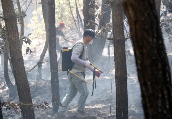 지난해 원북면 이곡리 산불진화 모습.