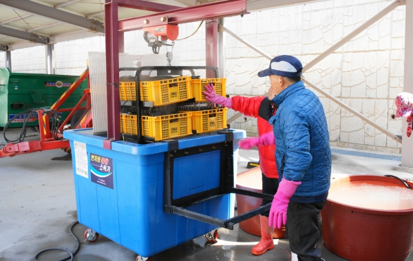 볍씨 온탕소독 모습.