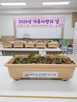 건강가정다문화가족지원센터 슬기로운 집콕생활(반려식물)