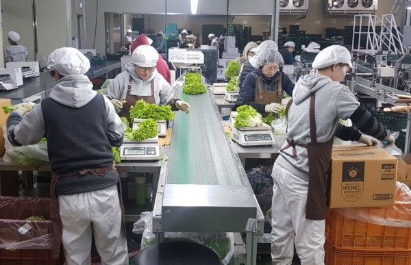 온라인쇼핑 주문 소포장 작업