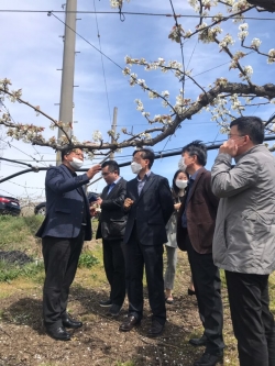 천안배원예농협 소속 수출단지를 찾은 aT대전세종충남지역본부장(사진)과 천안배원협 박성규 조합장