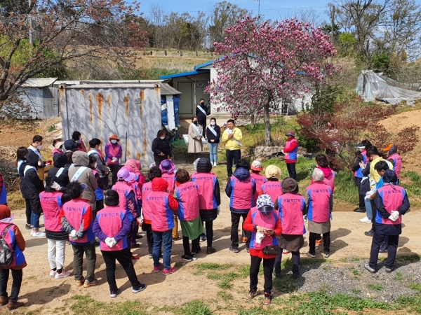 신평면 오봉천에서 실시된 삽교호 살리기 캠페인 사진