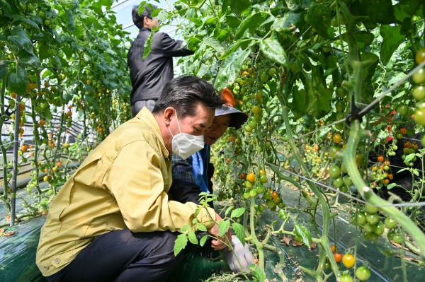 농촌일손돕기 장면