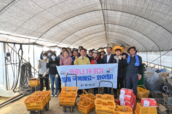 농촌일손돕기 장면