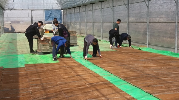 자매결연마을 일손돕기