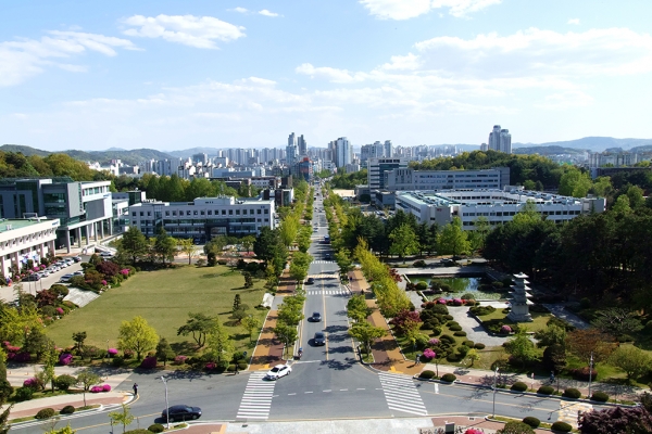 충남대 전경 (도서관)