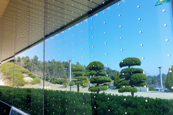 버드랜드에 설치된 조류충돌 방지테이프