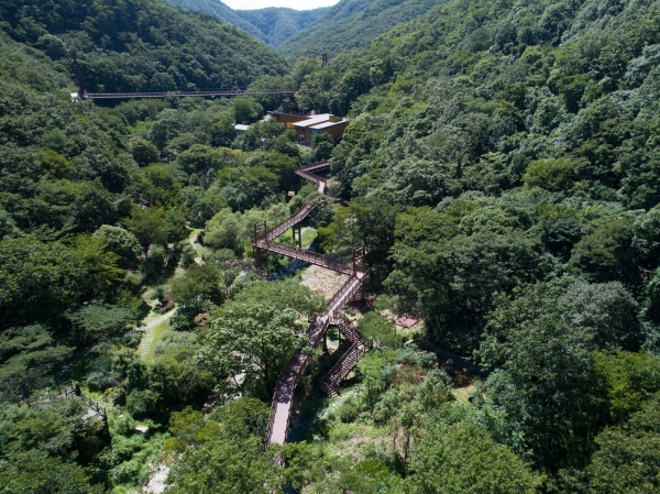금산산림문화타운 산책로 모습