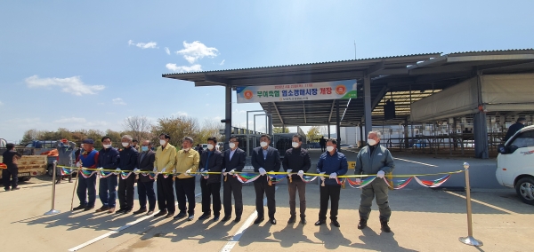 부여 염소경매장 개장식