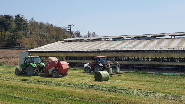 ‘월동 사료작물, 적기 수확과 보관