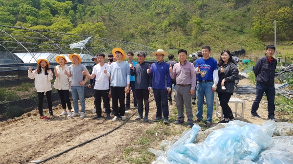 강풍피해 농촌일손돕기 모습