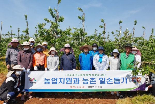 서산시 농업지원과 직원들이 팔봉면 원두연씨 농가에서 사과 적화작업 봉사실시