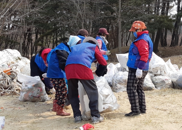 노인일자리 사업 모습.