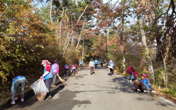 노인일자리 사업 모습.