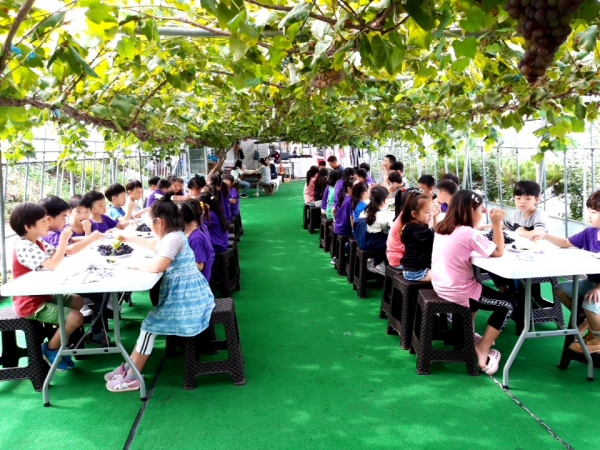 지난해 농촌체험여행(머드포도원)