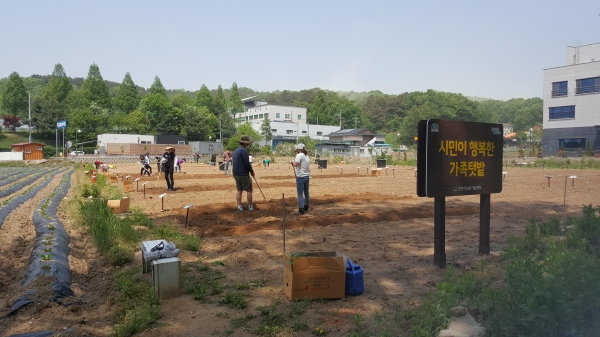 천안시농업기술센터가 시민이 행복한 가족텃밭을 개장한 가운데 참가 가족들이 배부 받은 고추, 토마토, 상추, 가지 모종을 심고 있다.