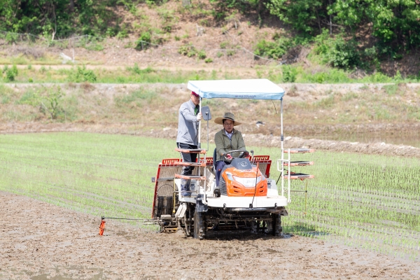 김돈곤 청양군수, 모내기 현장 찾아 농업인 격려 모습