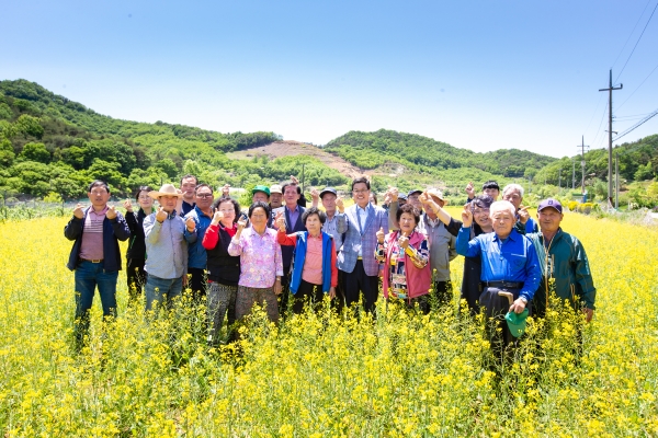 청양 적곡리 주민들 사천저수지 유채꽃축제 개최