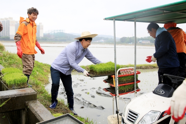 서산시 풍년농사 기원 모내기 시연행사 모습